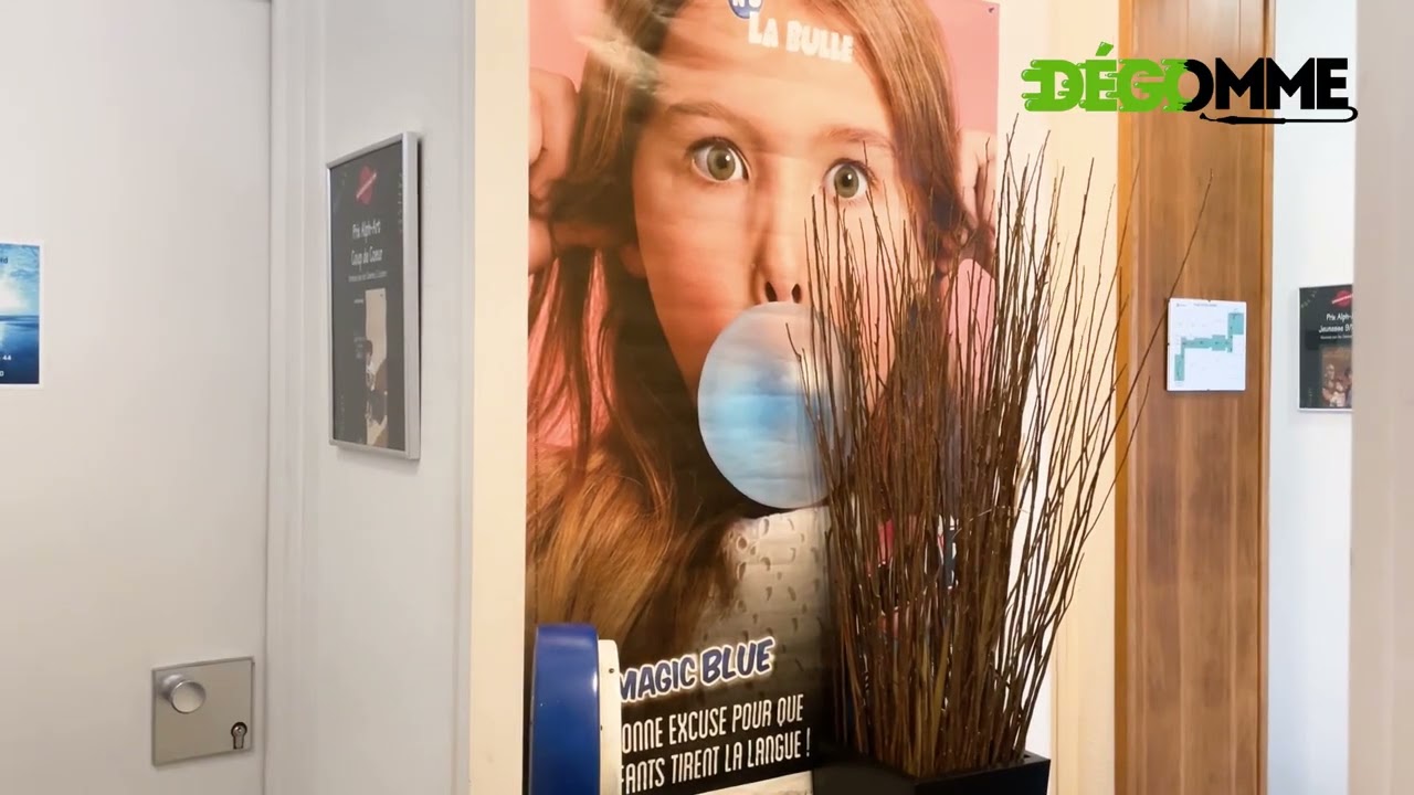 Dégomme, depuis 2013